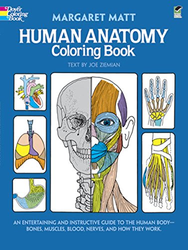 Human Anatomy Coloring Book 